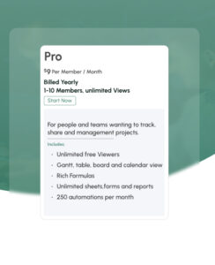 smartsheet pro plan pricing and features