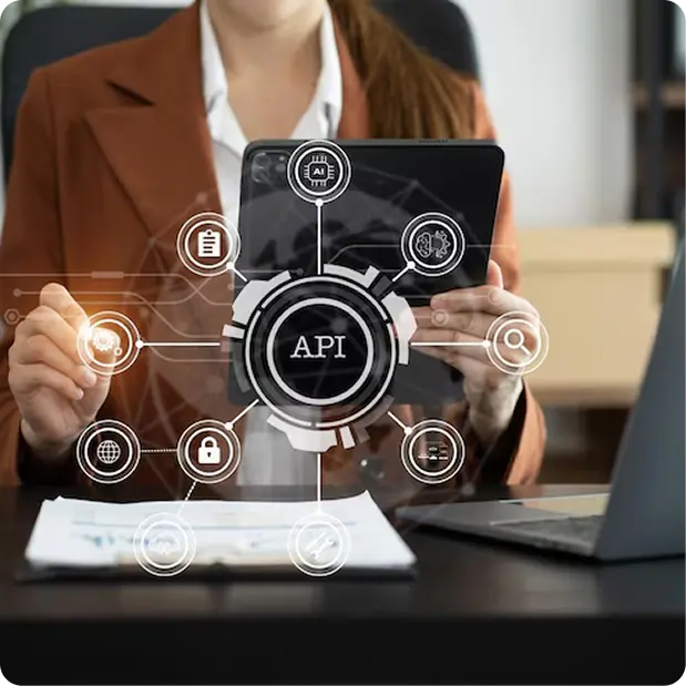 Custom API Integrations with Smarthseet consulting